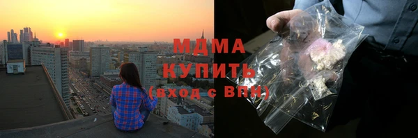 прущие грибы Костерёво