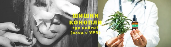 прущие грибы Костерёво