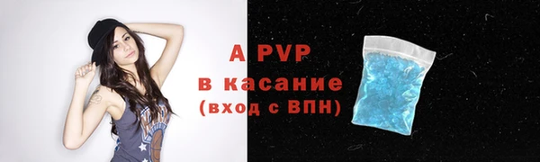 прущие грибы Костерёво