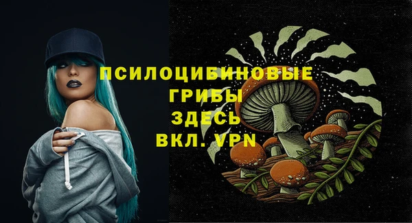 кристаллы Корсаков