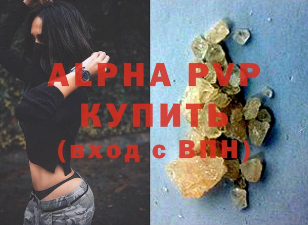 прущие грибы Краснотурьинск