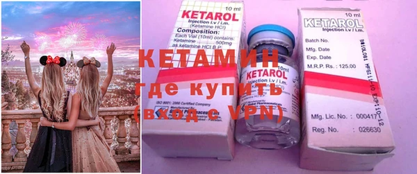 сатива Коряжма