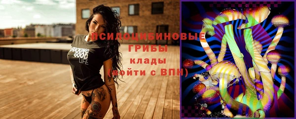 сатива Коряжма