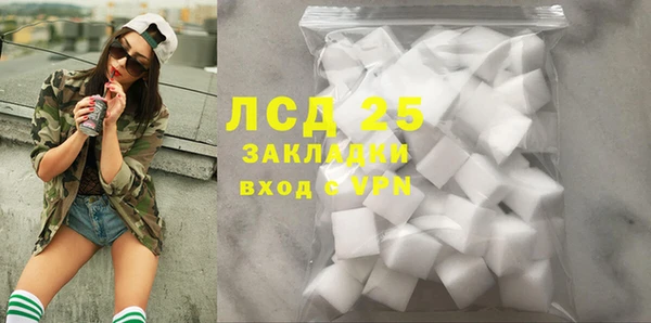 прущие грибы Краснотурьинск