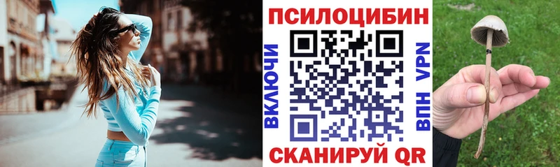 сколько стоит  Урай  Галлюциногенные грибы ЛСД 