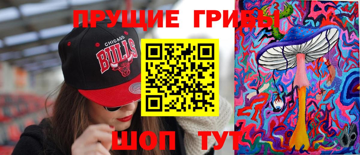 Псилоцибиновые грибы Psilocybe  Псилоцибиновые грибы Psilocybe  где купить наркоту  Урай 